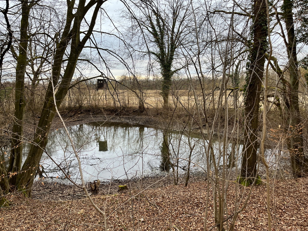 23-02-18 16-49-50 4280